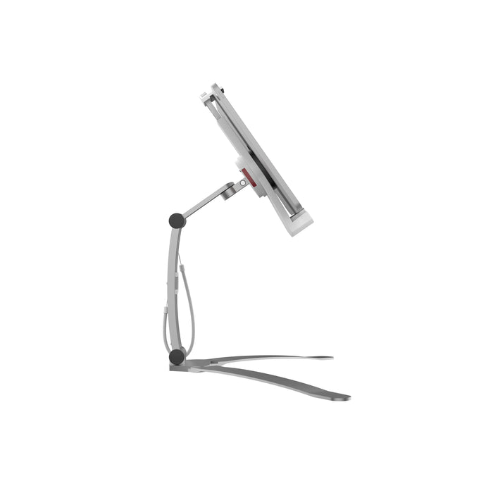 2-in-1 Kitchen Mount Stand CTA DIGITAL