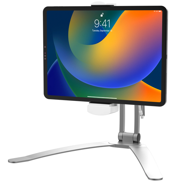 2-in-1 Kitchen Mount Stand