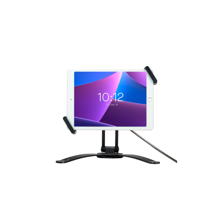 2-in-1 Security Multi-Flex Tablet Kiosk Stand & Wall Mount CTA DIGITAL