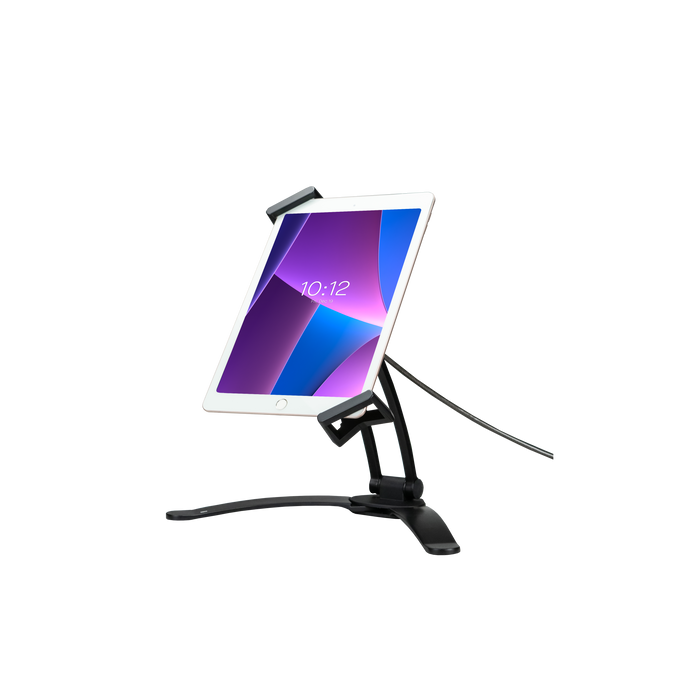 2-in-1 Security Multi-Flex Tablet Kiosk Stand & Wall Mount CTA DIGITAL