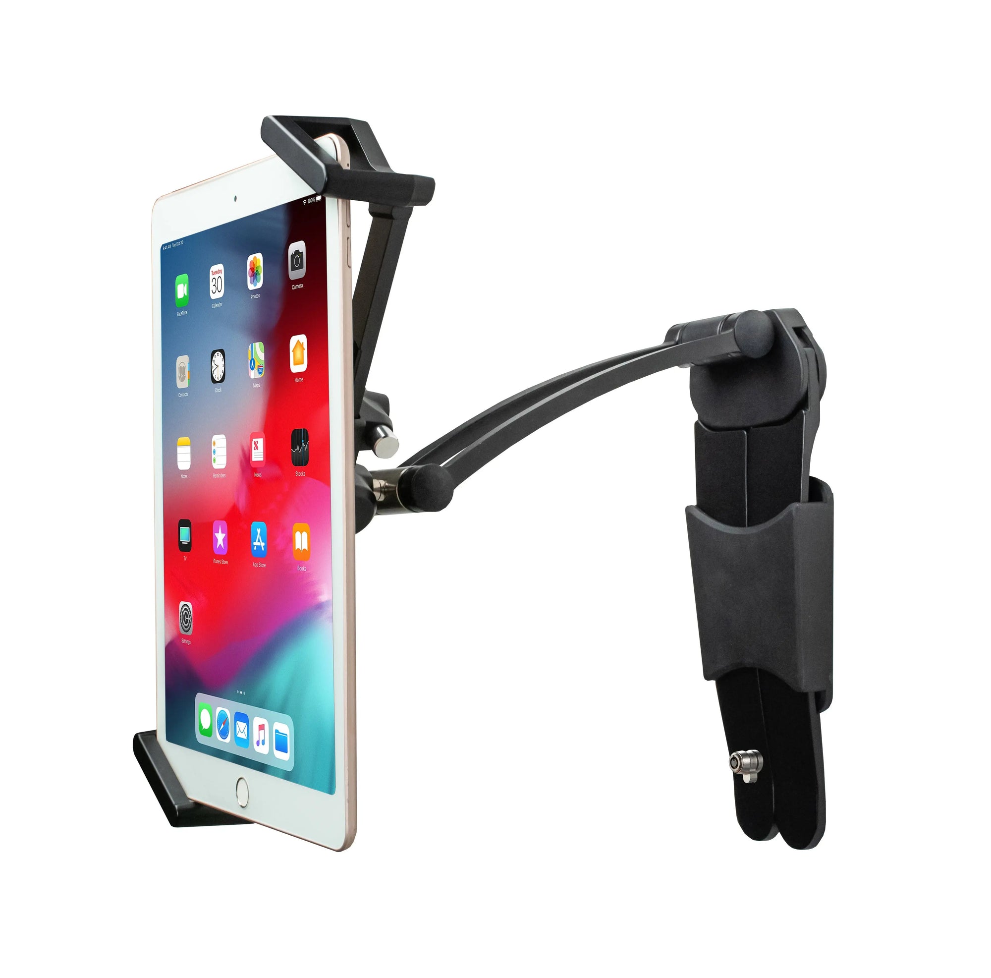 2-in-1 Security Multi-Flex Tablet Kiosk Stand & Wall Mount CTA DIGITAL
