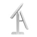 Adjustable Table Mount with 2 Security Enclosures CTA DIGITAL