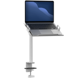 Articulating Laptop Plate and Pole Clamp Mount