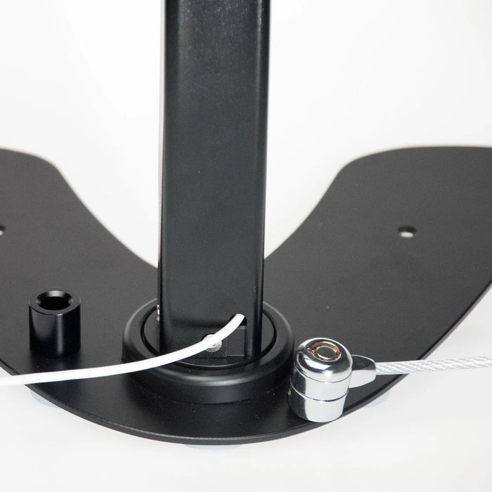 Dual Security Kiosk Stand with Locking Case and Cable CTA DIGITAL