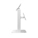 Dual VESA Compatible Table Mount for POS (White) CTA DIGITAL