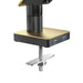 Gas Spring Monitor Arm with 2 USB Ports CTA DIGITAL