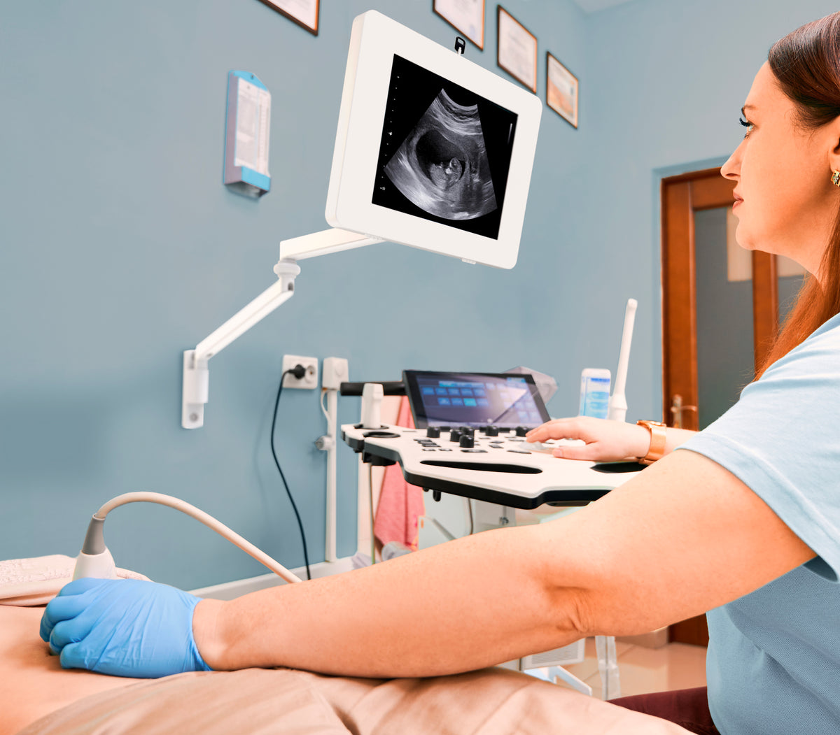 Medical Arm Wall Mount w/ Security Enclosure