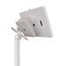 Premium Double VESA Wedge and Outlet / PoE Cover for Tablets (White) CTA DIGITAL