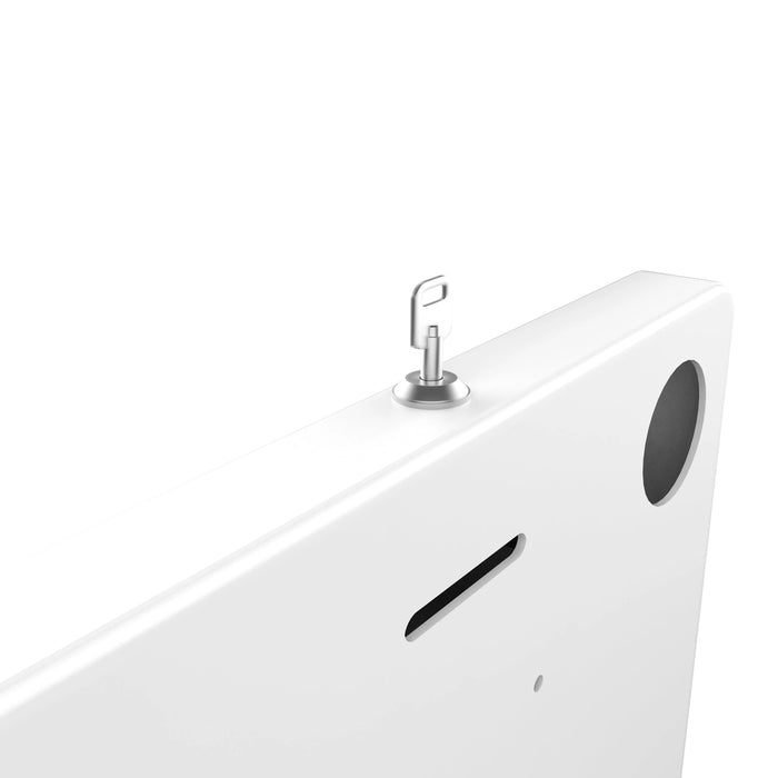 Premium Locking Wall Mount CTA DIGITAL