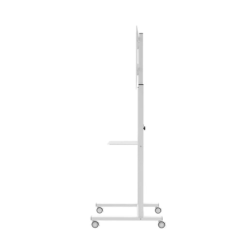 Rolling Display Mount with Cable Management CTA DIGITAL