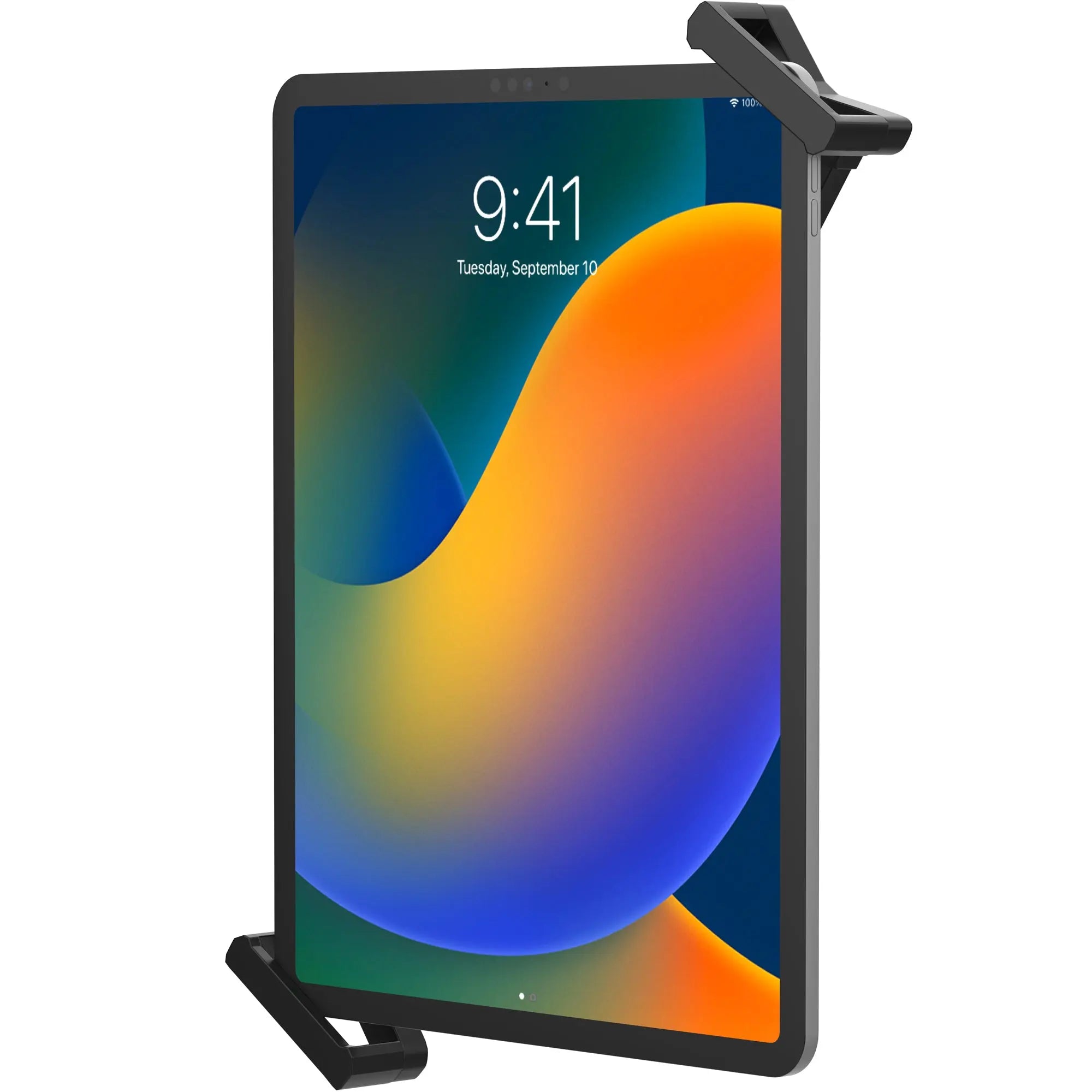 Security VESA and Wall Mount CTA DIGITAL