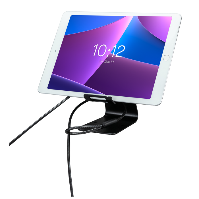 Tablet Security Kiosk Kit with Display Stand and Locking Cable CTA