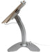 Universal Dual Security Kiosk with Locking Holder and Anti-Theft Cable CTA DIGITAL